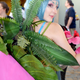 Venusaur by @lordcreepypeepee (photo by Cecilia D’Anastasio)